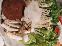 -九鼎轩脆毛肚火锅(三钢里店)