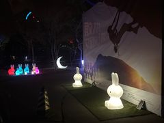 -枫花园汽车电影院(朝阳公园店)