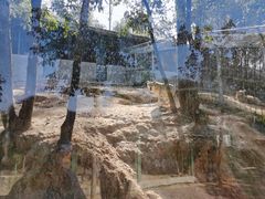 -泉州海丝野生动物世界