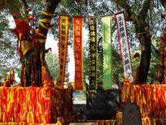 -大槐树寻根祭祖园