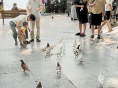 -杭州湖滨in77