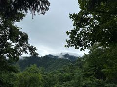 -九华山风景区-东崖禅寺