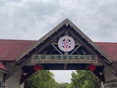 -上海海湾国家森林公园