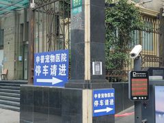 -申普宠物医院·心脏介入·心血管微创(总院)