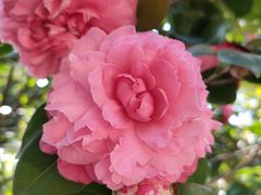 -华南国家植物园-售票处