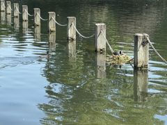 -海德公园
