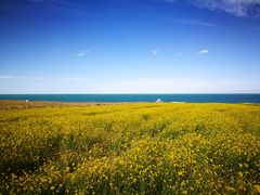 -青海湖国家重点风景名胜区