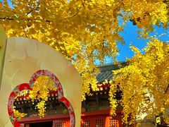 -承恩寺