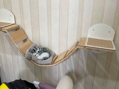 -宠爱国际动物医院·疑难骨科·心肾内科·皮肤科(太阳宫店)