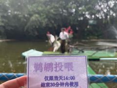 -广州长隆飞鸟乐园