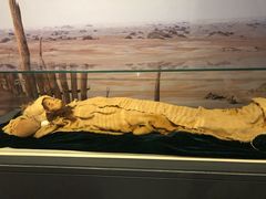 -北京大学赛克勒考古与艺术博物馆
