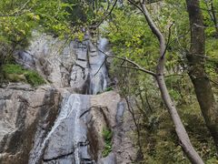 -王顺山国家森林公园