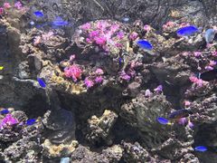 -欢乐海岸海洋奇梦馆