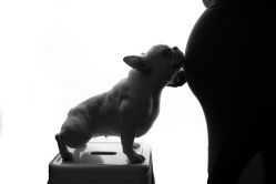 -专注孕妇照亲子照·纪田摄影