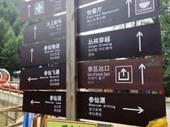 -参仙谷生态旅游度假区
