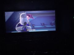 -临泉大地影城(大润发店)