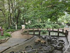 -成都市活水公园