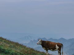 -灵山
