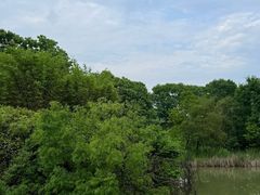 -南湾湖