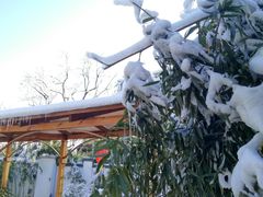 -静之湖湖畔餐厅