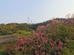 -梅峰山地公园