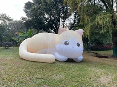 -广州兰圃