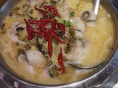 -Aqua Oasis 水天堂(石路天虹店)