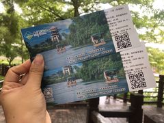 -大湾区中央湿地公园