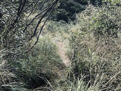 -午潮山国家森林公园