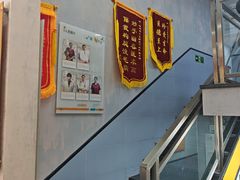 -渲嗳动物医院(异宠·复杂内科转诊中心·玖洲道富华里分院)