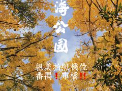 -星海公园(番禺区)
