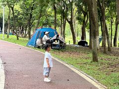 -凤岗南门山森林公园