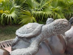 -广东惠东海龟国家级自然保护区