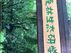 -东平国家森林公园