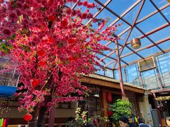 -丽江庭院之爱在路上(西单店)