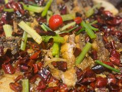 -老板恋上鱼(恒隆广场店)