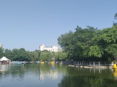-莲湖公园