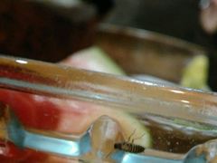 -老把头野鱼馆