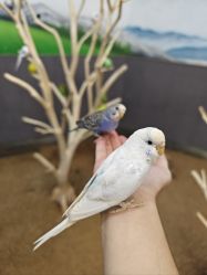 -未来动物城主题公园(正弘城店)
