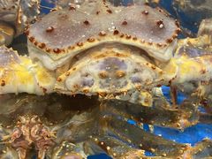 -帝皇海海鲜豆捞(桐泾商务广场店)