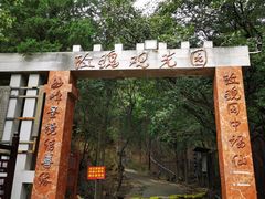 -妙峰山风景名胜区