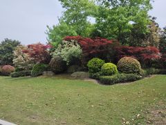 -东平国家森林公园