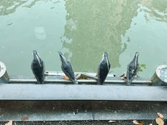 -苏州河梦清园环保主题公园