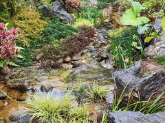 -东莞植物园