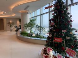 -深圳芙必优医疗美容·抗衰中心