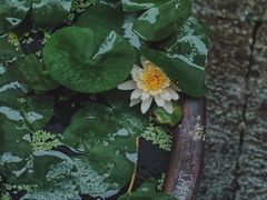 -宁波市保国寺古建筑博物馆