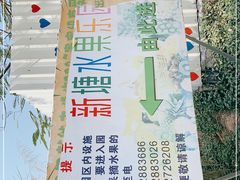 -新塘水果乐园(东洲大道店)