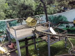 -西霞口神雕山野生动物世界