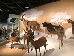 -陕西自然博物馆