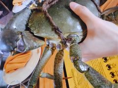 -Ministry of Crab(科伦坡店)